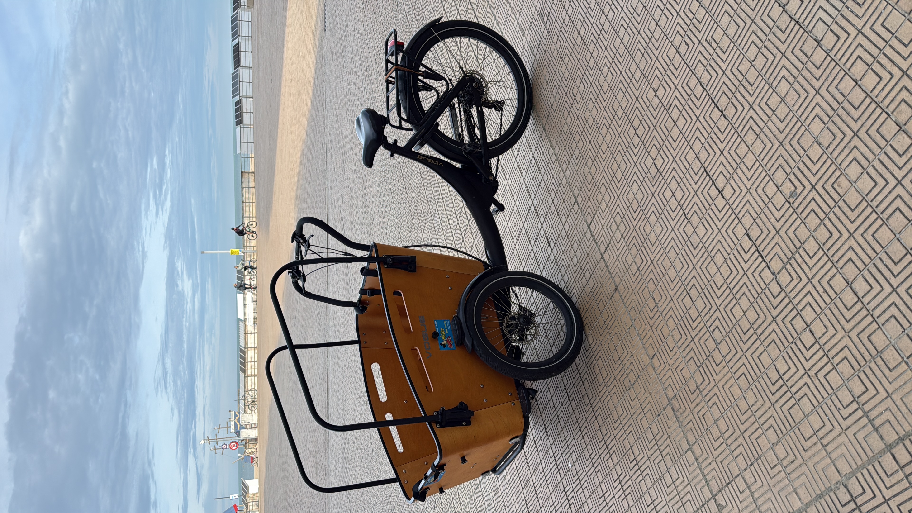 E-cargobike
